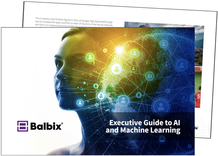 EBook: Executive Guide To AI And Machine Learning